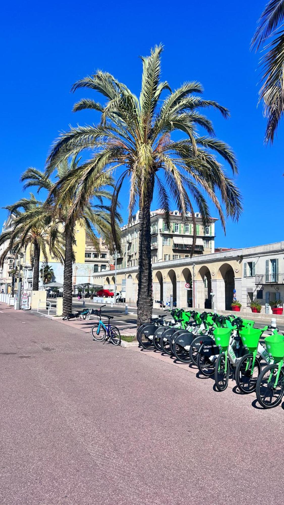 Appartement Le Baieta